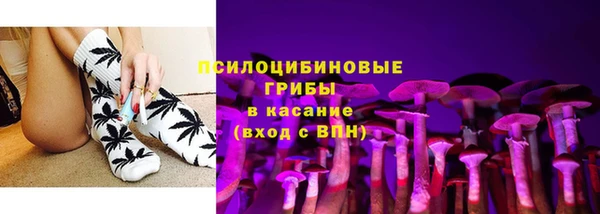 сатива Алзамай
