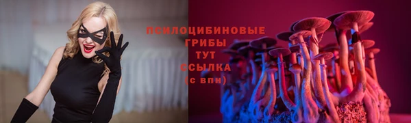 сатива Алзамай