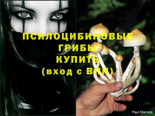 прущий лед Алексин