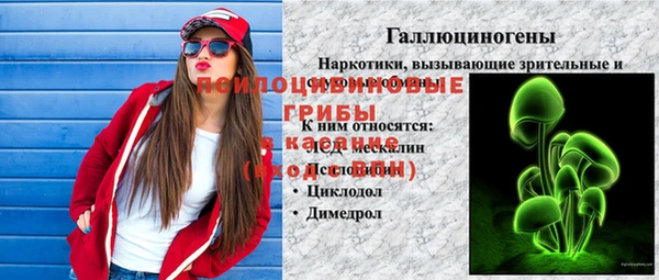 прущий лед Алексин